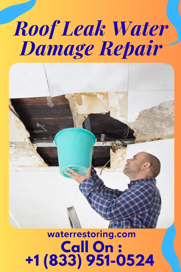 Roof Leak Water Damage Repair in Colbert, GA